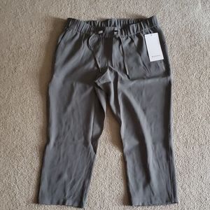 New with tags Lululemon on the fly crop pants